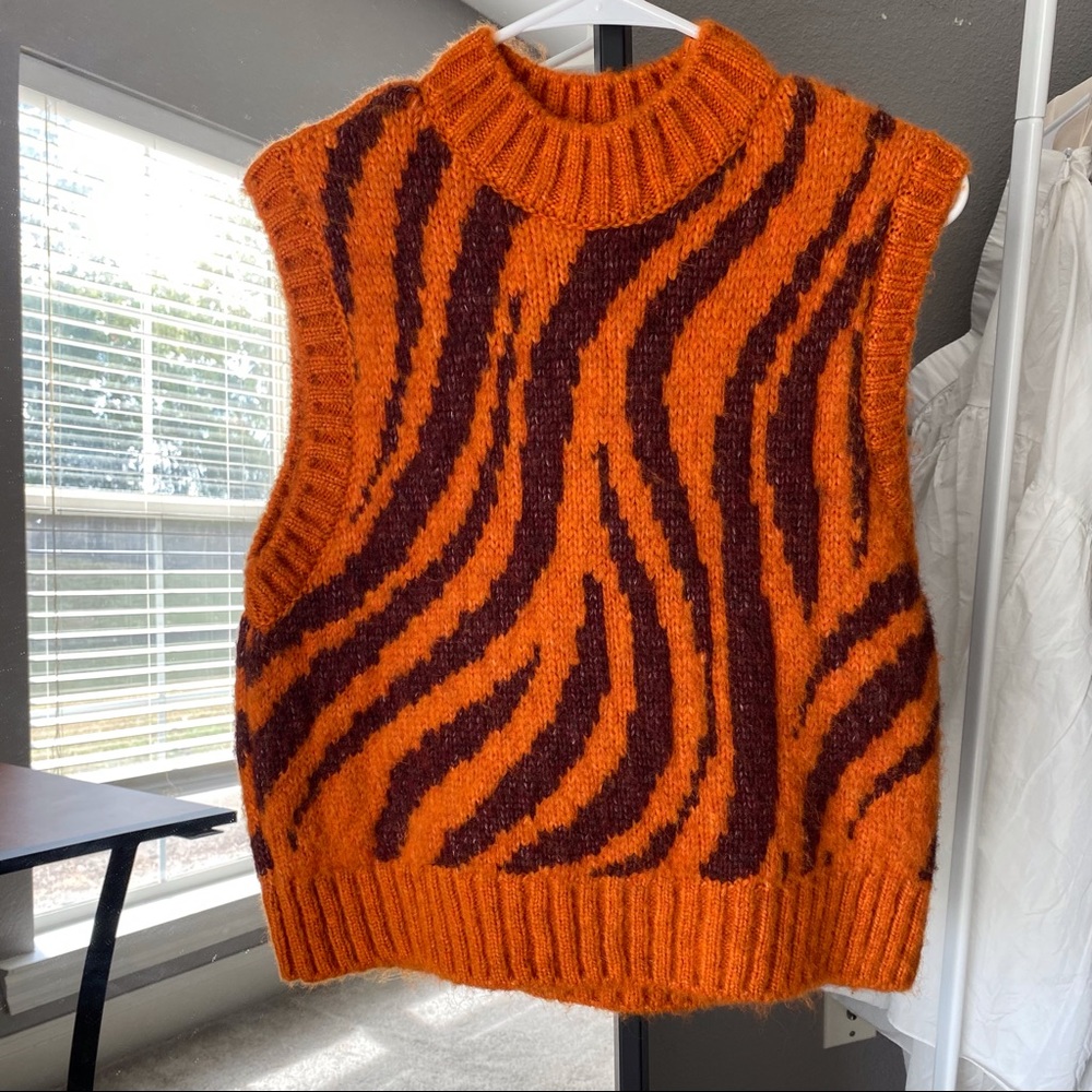 Zara🦓Vest